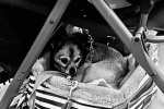 image00032