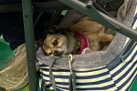 image00006